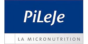 Pileje