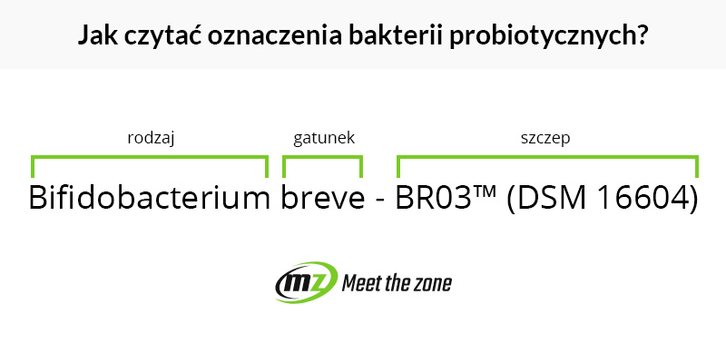 opis probiotyku