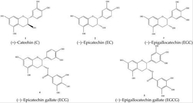 Wzory chemiczne katechin występujących w zielonej herbacie