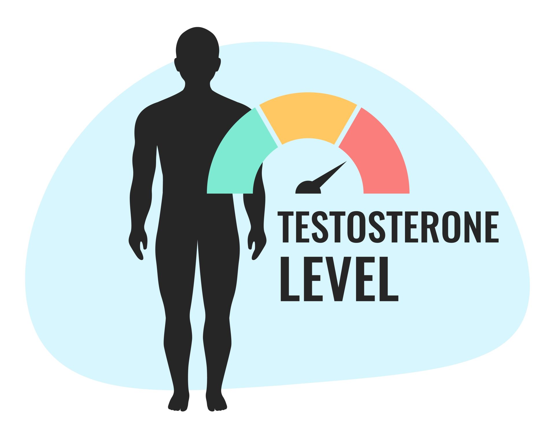 cien czlowieka z napisem Testosteron Level