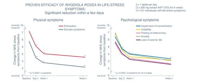 Spadek fizycznych i psychologicznych objawów życiowego stresu już po kilku dniach suplementacji tabletek z ekstraktem Rhodiola rosea.